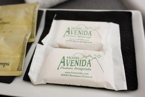 Hotel Avenida Benasque Zewnętrze zdjęcie