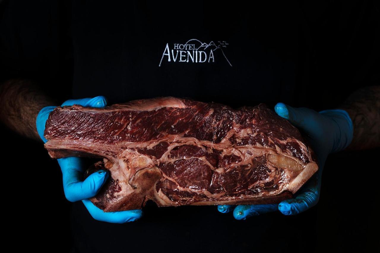 Hotel Avenida Benasque Zewnętrze zdjęcie